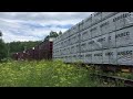 cn 556 sb avec cn 4806 a chambord qc 30 juillet 2019