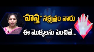 Nakshatralu - Phalithalu | హస్త నక్షత్రం వారు ఈ మొక్కలను పెంచితే...| Sree Sannidhi TV