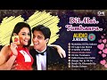 dil hai tumhara movie all songs jukebox audio album arjun rampal preity udit alka kumar