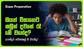 Study Smart or Hard | Which Wins? | විභාගෙට සූදානම් වෙන ඔයා කැමති කොයි කෙනා වෙන්නද? | Study Tips