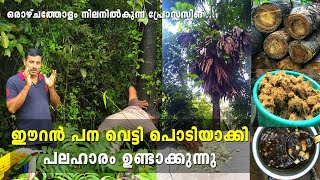 ഈറൻ പന വെട്ടി പൊടിയാക്കി പലഹാരം ഉണ്ടാക്കിയാലോ ? | Eeran Pana virakiyathu | Panam podi virakiyath