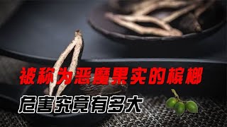 被称为恶魔果实的槟榔，危害究竟有多大？真的有这么可怕吗？