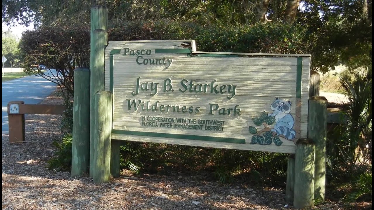 Jay B Starkey Wilderness Park - Quick Tour - YouTube