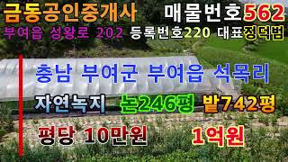 562부여 시내에서 가까운 산 아래 자연녹지 밭과 논 부여땅 부여부동산