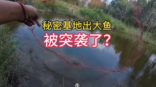 兄弟们，听说秘密基地出大鱼了，收获果然不一般。#户外撒网捕鱼