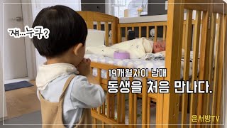 19개월차이남매, 첫째에게 둘째 소개하는 날