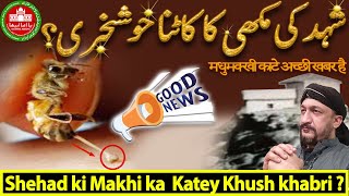 Shehad ki Makhi Katey Khush khabri ?| Desi | Star | Dua | Ufo | Gems | Nazar | Shadi | Jadu | Tip |