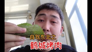 东北小伙带河南女友自驾回河南，来到了齐齐哈尔，必须吃顿烤肉！