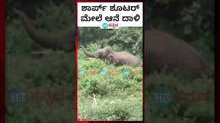 Hassan Elephant Attack : ಕಾರ್ಯಾಚರಣೆ ವೇಳೆ ಶಾರ್ಪ್ ಶೂಟರ್ ಮೇಲೆ ದಾಳಿ ನಡೆಸಿದ ಕಾಡಾನೆ