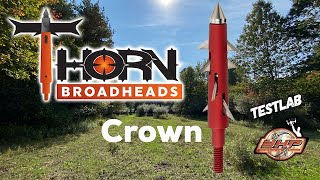 THORN BROADHEADS - NEW CROWN! Fixed blade