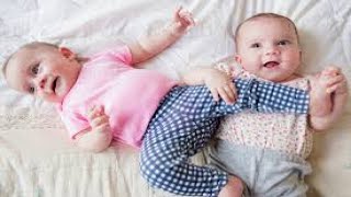 cute twins babies | twins | olsen twins | twins baby | funny videos | mn twins |  twinstrangers |