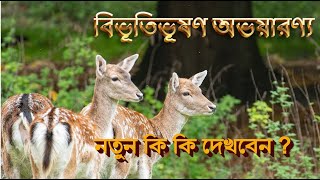 বিভূতিভূষণ অভয়ারণ্য সঙ্গে  বাংলা দেশ বর্ডার  | Vibhutibhushan Sanctuary | Bangla Desh Border