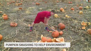 Local's smashing pumpkins to help the environment