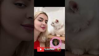 Dubai Princess Lovely Cat Sheikha Mahra | بنت محمد بن راشد آل مكتوم أميرة دبي الشيخة مهرة