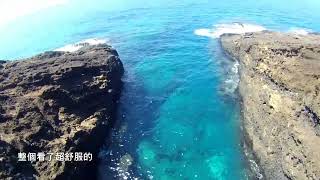 前打~興趣使然釣魚人GO~綠島  グリーン島 釣りイベントの記録 鞭の魚