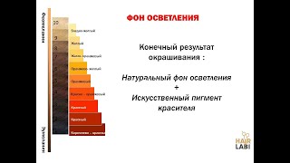 Что такое фон осветления и как его определить. Oнлайн-вебинар Hair lab school