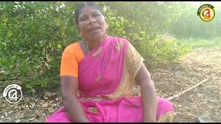 துறையூர் ஒப்பாரி பாடல்/ village oppari folk song