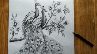 how to draw a peacock step by step,easy peacock drawing for beginners,how to draw peacock by pencil,