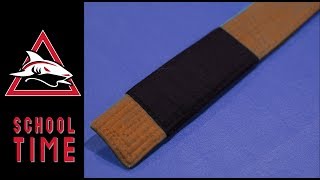 You are a BROWN BELT.... Now WHAT? - Take your Jiu-Jitsu to the Next Level! - Kama Vlog