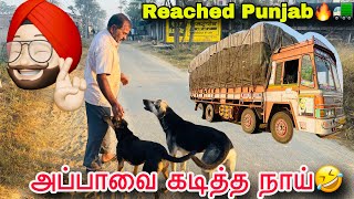 Punjab Trip-4❤️🚛ராஜஸ்தான் பாலைவனம்🥹ஹரியானா சந்திராபழம்🔥பஞ்சாப் குளிர்😂ஒரே ஜாலிதாங்க😘🚚