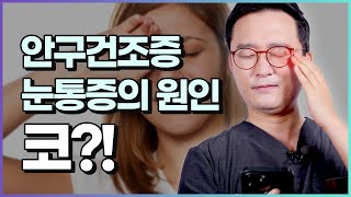 안구건조증, 눈 피로, 눈 주위 통증이 코 때문?! ft. 눈통증 완화꿀팁