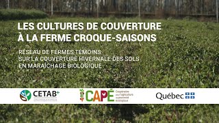 Les cultures de couverture à la ferme Croque-Saisons