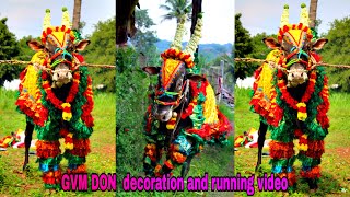 GVM DON  decoration and running video@bulletrani8271