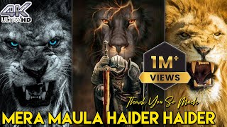 Mera Maula Haider Haider Status | Tik Tok Viral Video Status | New Manqabat Status 2022