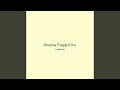 Shadow Fragile Echo