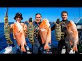 How To Catch Queenslands Most Iconic Fish - Spearfishing Red Emperor