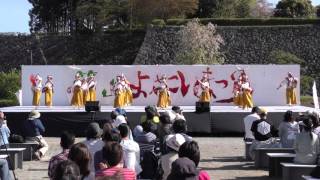 篠山よさこい2016  　破天荒　三の丸会場　4k