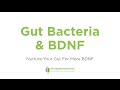 Gut Bacteria & BDNF