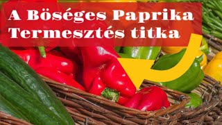 Paprika termesztési titkai!!!