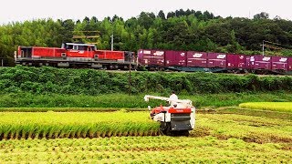 JR貨物 山陰本線迂回貨物列車 運行27日目 (24-Sep-2018)