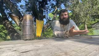 Lessons we can learn from honeybees