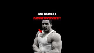 How To Build a Massive Upper Chest!