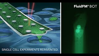 FluidFM BOT BIO Series – Applications \u0026 experimental procedure