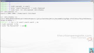 GCSE Computing - FOR loop to create multiple Linux users