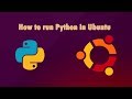 How to run Python in Ubuntu
