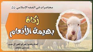 محاضرات في الفقه الإسلامي {049} الزكاة - بهيمة الأنعام