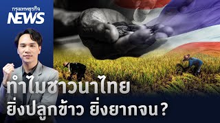 ทำไมชาวนาไทย ยิ่งปลูกข้าว ยิ่งยากจน?  | กรุงเทพธุรกิจNEWS