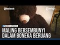 DIBURU POLISI, MALING MOBIL INI BERSEMBUNYI DALAM BONEKA BERUANG