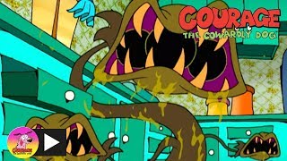 Courage the Cowardly Dog | Man Eating Plants | Cartoon Network