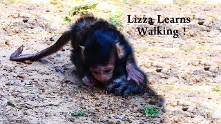 WALK CRAWLING,  In One Day Old  Lizza Newborn Baby Learns Walking, Look So Cute
