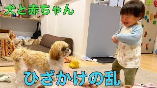 【ケンカ勃発！？】赤ちゃんと子犬の互角の戦い！！