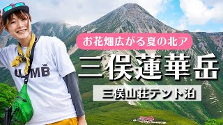 【三俣山荘テント泊】お花畑広がる夏の北アルプスで楽しむ絶景登山！山小屋で働く友人を訪ねて17km！道中は旬を迎えたコバイケイソウや槍ヶ岳、鷲羽岳など美しい景色に癒されました