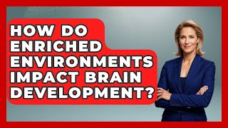 How Do Enriched Environments Impact Brain Development? - Brain Development Hub