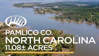 Pamlico County, NC 11± Acres