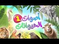 أصوات الحيوانات - 1 | قناة بلبل BulBul TV