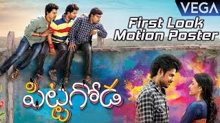 Pittagoda First Look Motion Poster || Latest Telugu Movie Teaser 2016